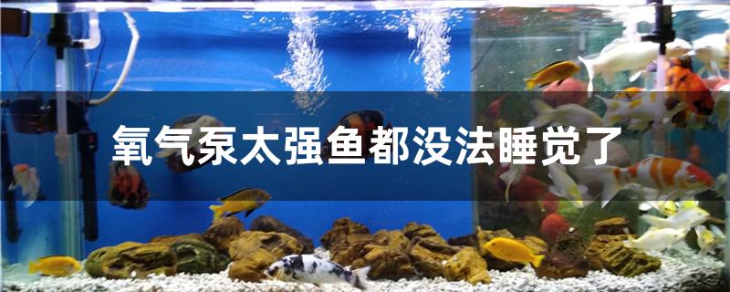 氧气泵太强鱼都没法睡觉了怎么办