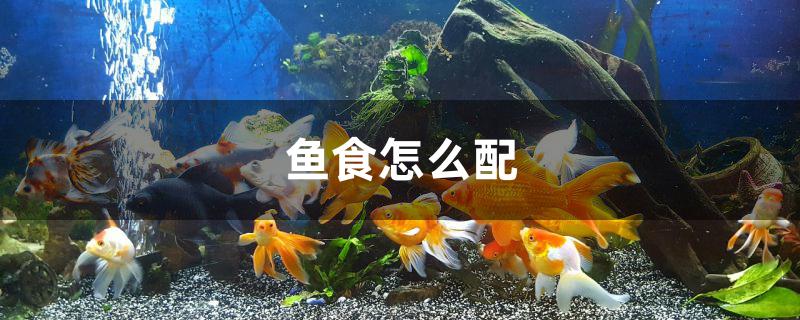 鱼食怎么配