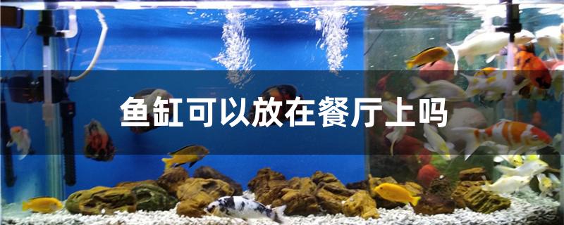 鱼缸可以放在餐厅上吗