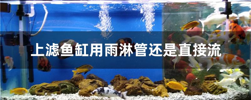 上滤鱼缸用雨淋管还是直接流