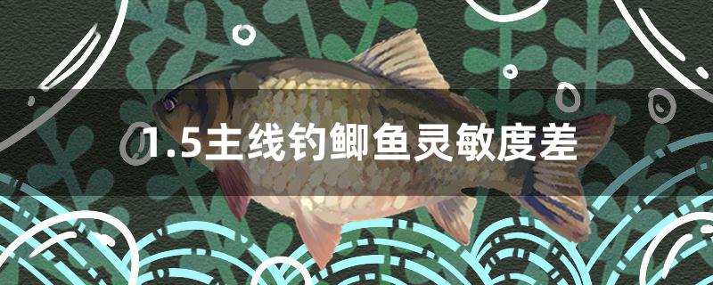 1.5主线钓鲫鱼灵敏度差