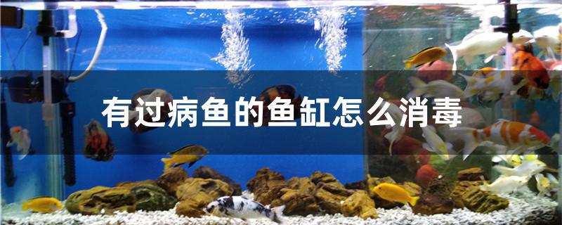 有过病鱼的鱼缸怎么消毒