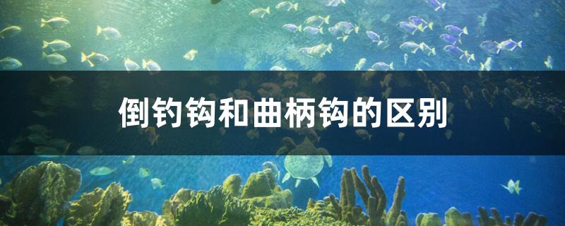 倒钓钩和曲柄钩的区别