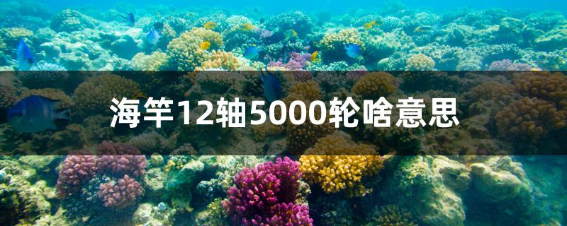 海竿12轴5000轮啥意思