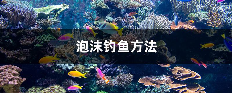 泡沫钓鱼方法