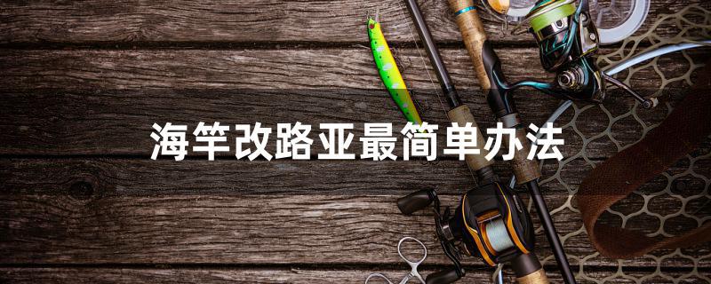 海竿改路亚最简单办法