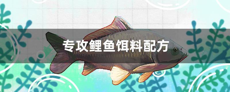 专攻鲤鱼饵料配方