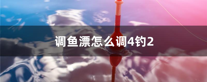 调鱼漂怎么调4钓2