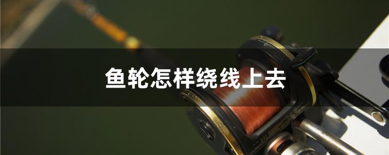鱼轮怎样绕线上去