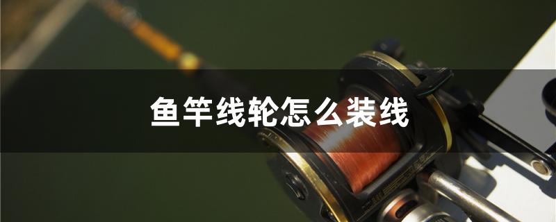 鱼竿线轮怎么装线