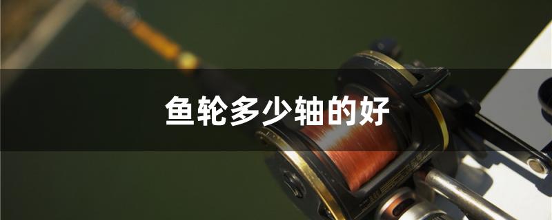 鱼轮多少轴的好