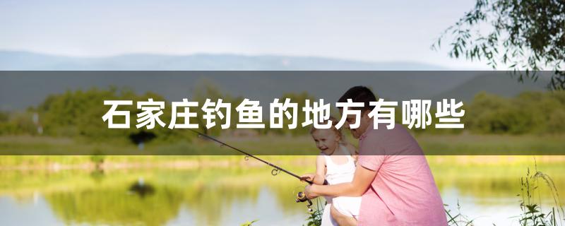 石家庄钓鱼的地方有哪些