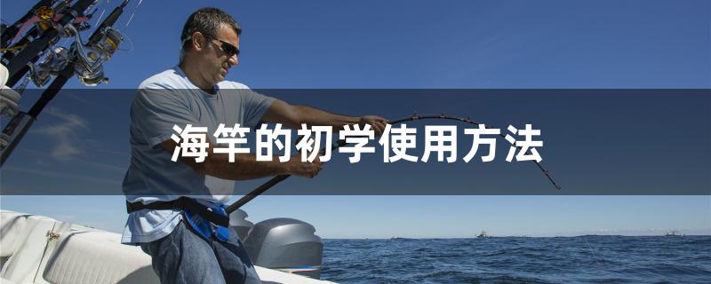 海竿的初学使用方法