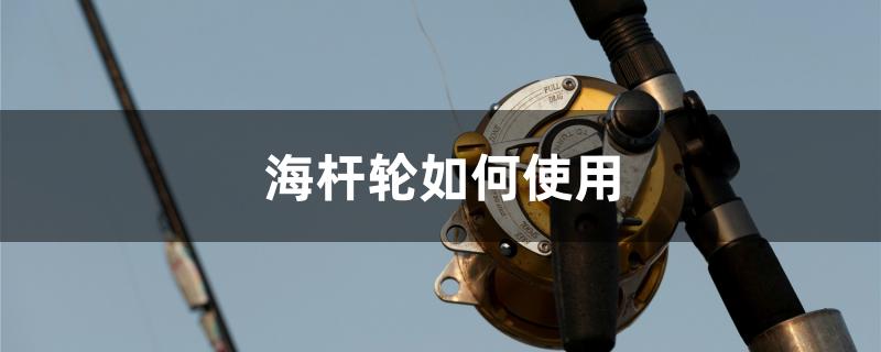 海杆轮如何使用