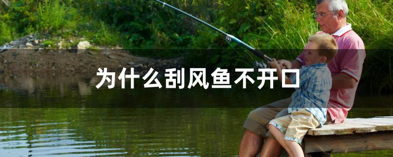 为什么刮风鱼不开口