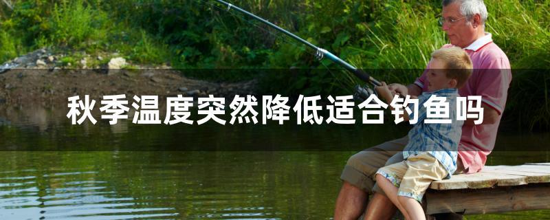秋季温度突然降低适合钓鱼吗