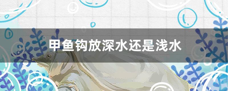 甲鱼钩放深水还是浅水