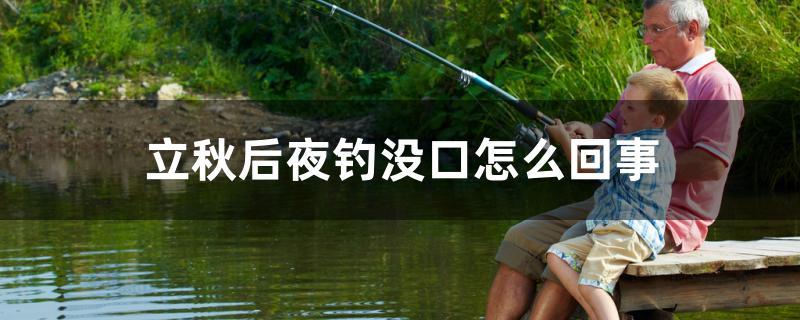 立秋后夜钓没口怎么回事