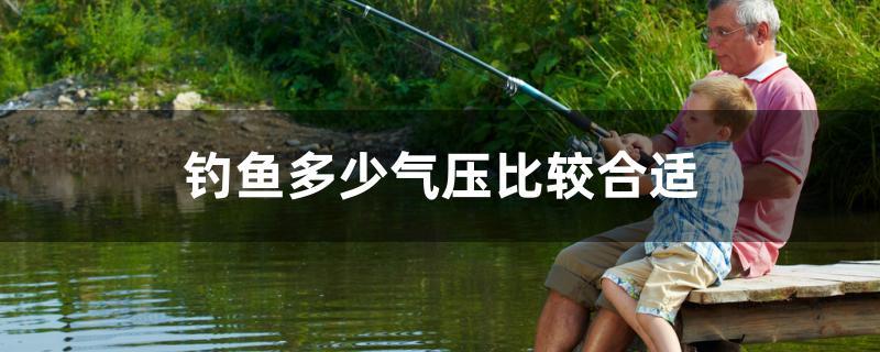 钓鱼多少气压比较合适