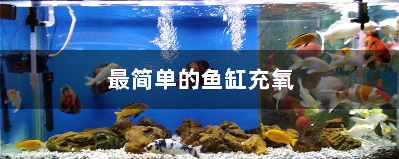最简单的鱼缸充氧
