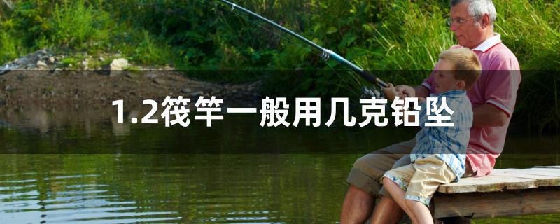 1.2筏竿一般用几克铅坠