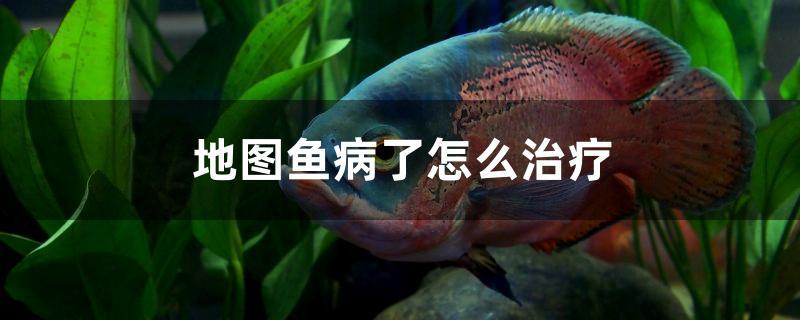 地图鱼病了怎么治疗